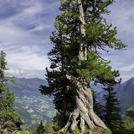 Apartment Haus Mitterlechner Dorfgastein